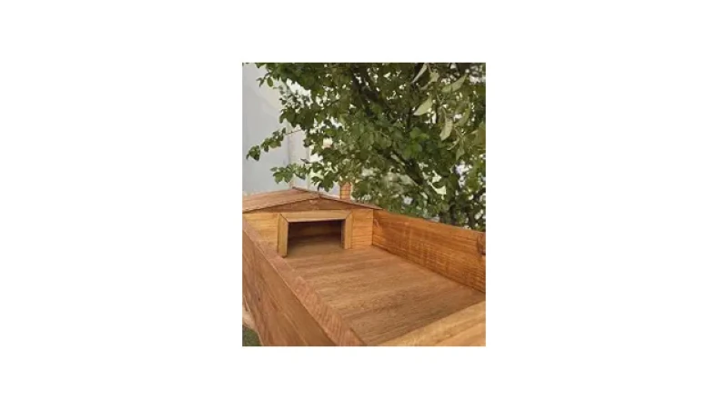 Qual Melhor Terrário para Jabuti: Guia de Compra
