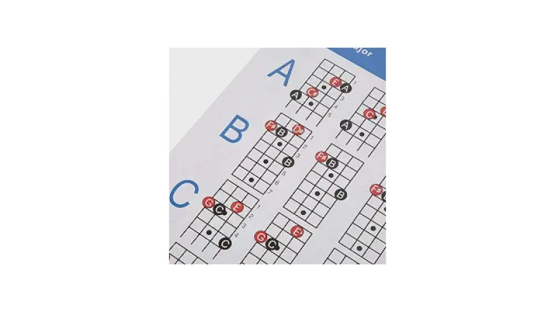 Qual Melhor Tipo de Baixo para Iniciantes: Guia Essencial