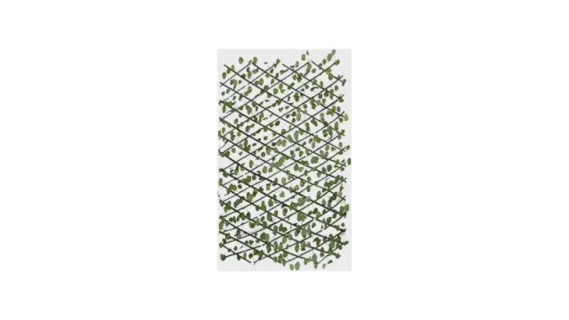 Qual Melhor Treliça Para Plantas Trepadeiras? Do Vaso à Parede