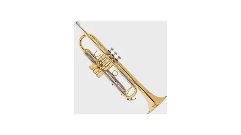 Qual Melhor Trompete Para Iniciantes e Estudantes?