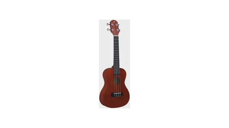 Qual Melhor Ukulele Bom e Barato Para Iniciantes?
