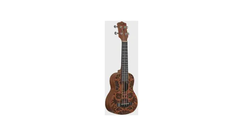 Qual Melhor Ukulele Concerto Para Iniciantes?
