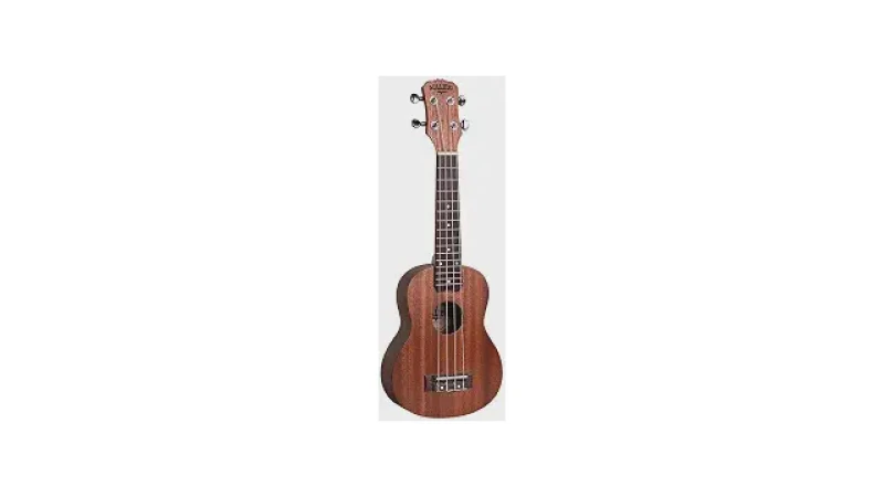 Qual Melhor Ukulele Soprano Para Iniciar?