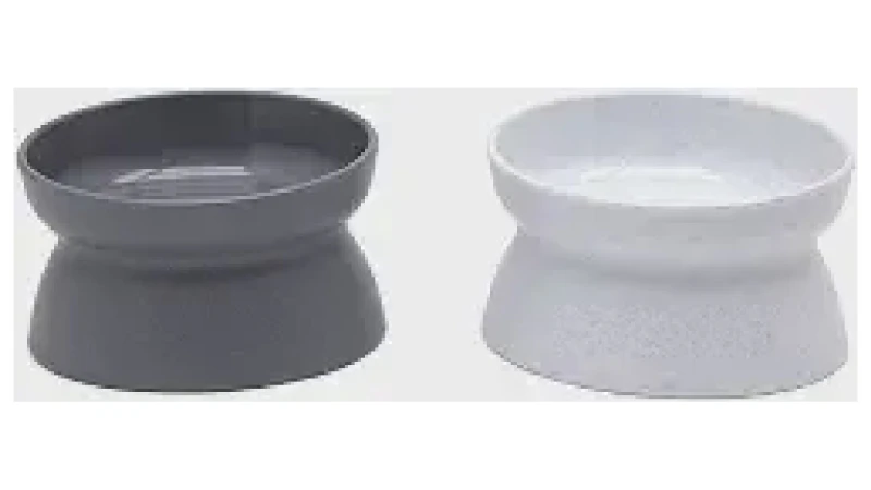 Qual Melhor Vasilha Para Gato: Guia de Saúde Felina