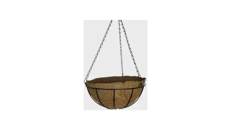 Qual Melhor Vaso Para Samambaia? Coco vs. Plástico