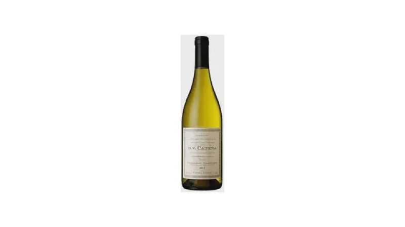 Qual Melhor Vinho Branco Chardonnay Com Passagem por Barrica: 5 Rótulos de Ótimo Custo-Benefício