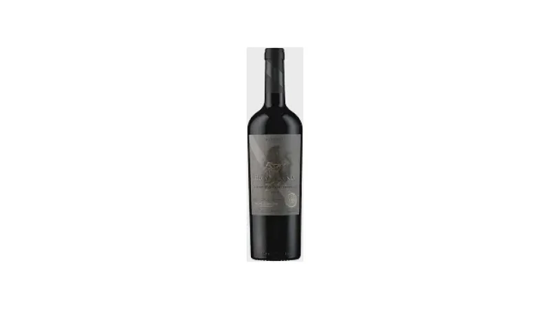 Qual Melhor Vinho Carmenere ou Cabernet Sauvignon: Guia Definitivo