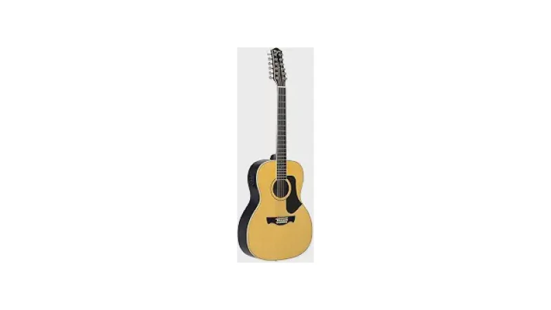 Qual Melhor Violão de 12 Cordas Para Um Som Rico?