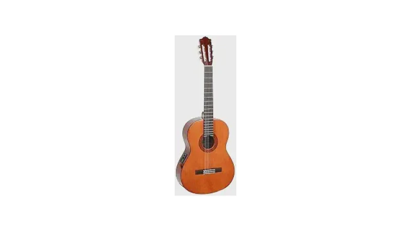 Qual Melhor Violao de Nylon Eletrico? Guia de 10 Modelos