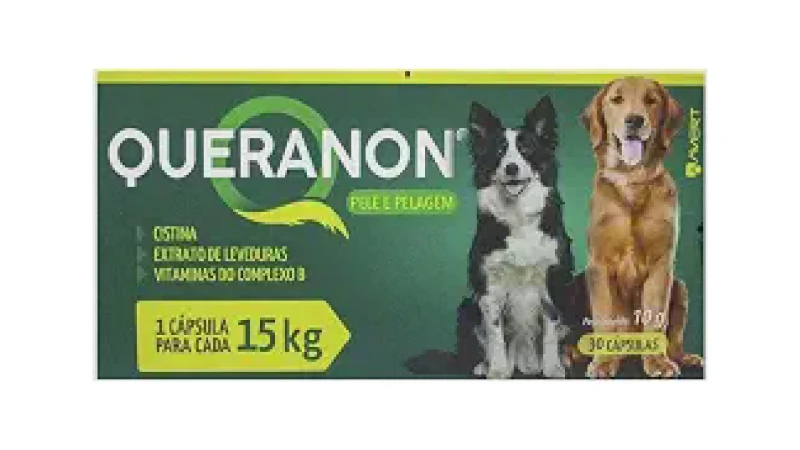Qual Melhor Vitamina Para Pelo de Cachorro? Fim da Queda